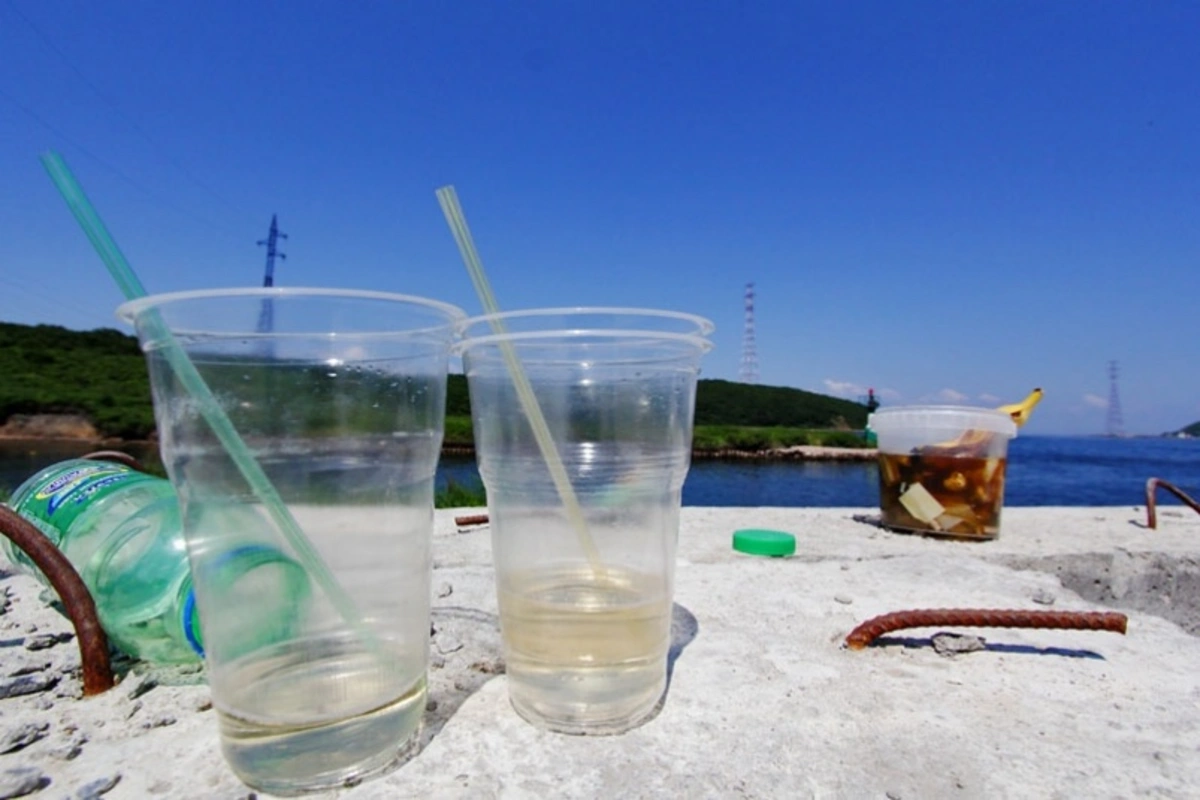 Azərbaycanda plastik qablaşdırma qadağan ediləcəkmi?